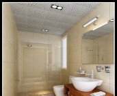 危货车和特种车型系列